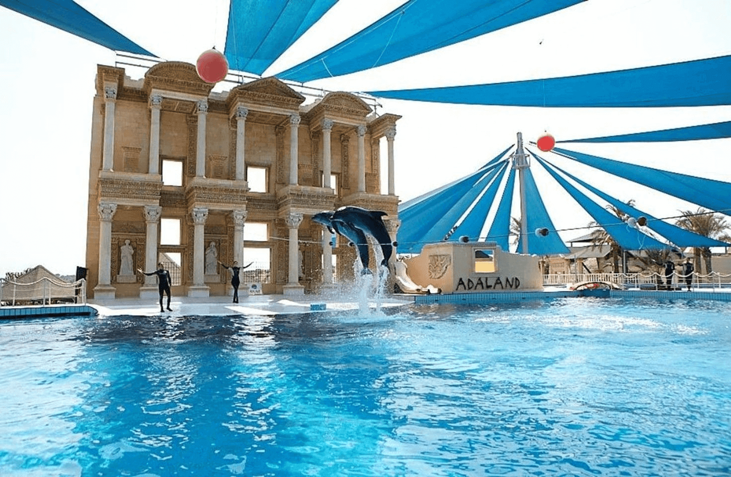 ADALAND DOLPHIN SHOW