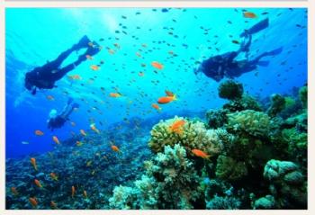 NURKOWANIE W MARMARIS