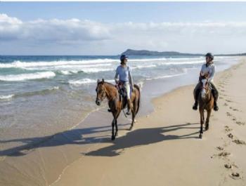 КОННЫЙ ТУР ПО АНТАЛИИ