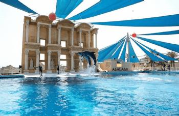 ШОУ ДЕЛЬФИНОВ В АДАЛЕНДЕ