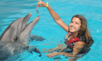 Didim Dolphin Show