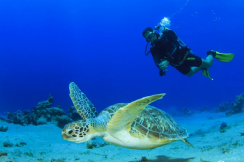 ОПЫТ ПОДВОДНОГО ПЛАВАНИЯ С АКВАЛАНГОМ В АНТАЛИИ