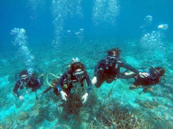 The Diving Experience in Bodrum