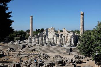 Must See Attractions