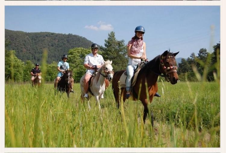 BODRUM PFERDESAFARI