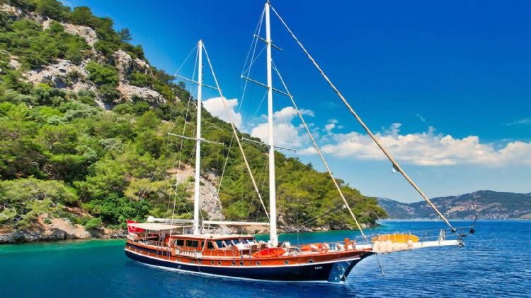 Bodrum and Didim  daily tours and excursions 