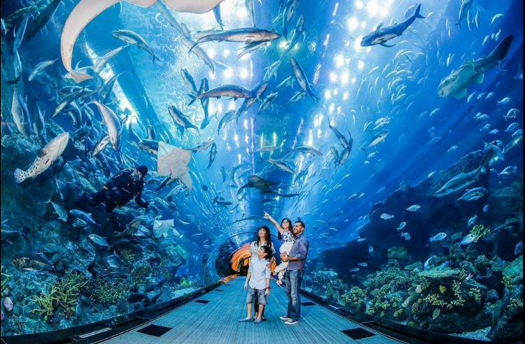 ANTALYA AQUARIUM-TOUR