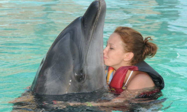 DELFINSHOW & SCHWIMMEN MIT DELFINEN IN ANTALYA