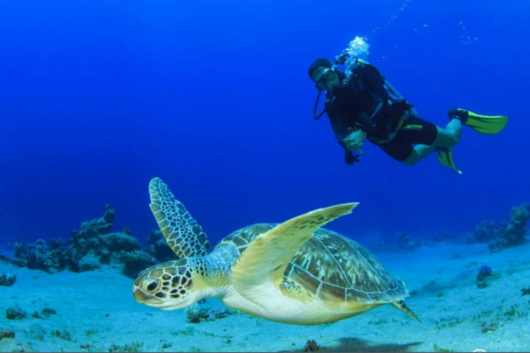 TAUCHERLEBNIS IN ANTALYA