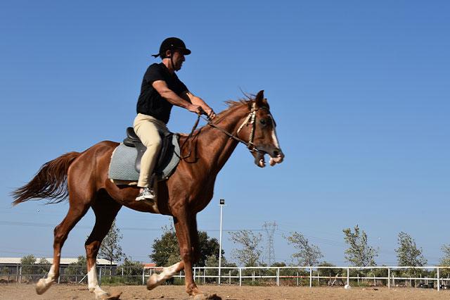 Equestrian sport club